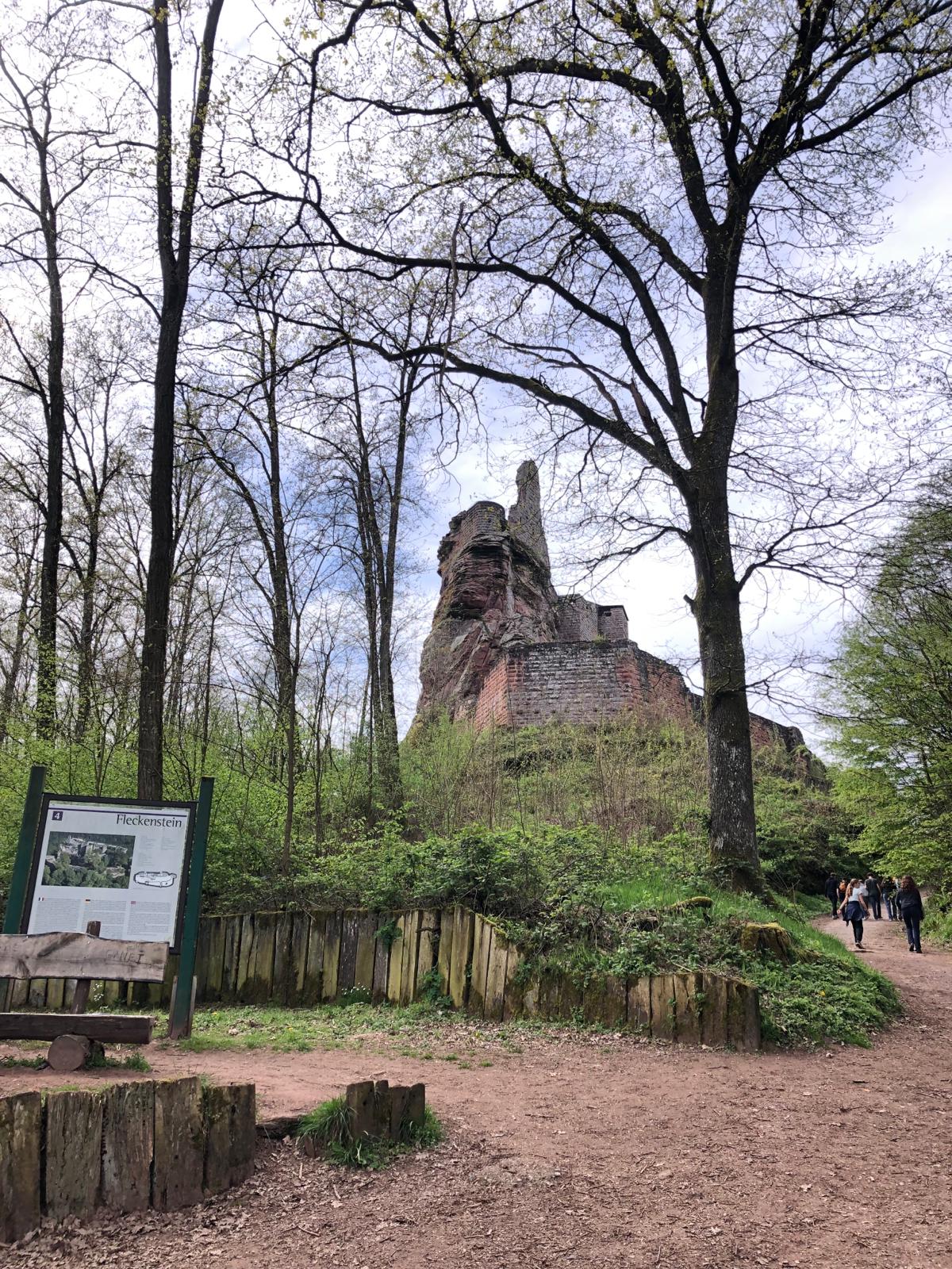 Visite au Fleckenstein pour les S4FR et S4DE