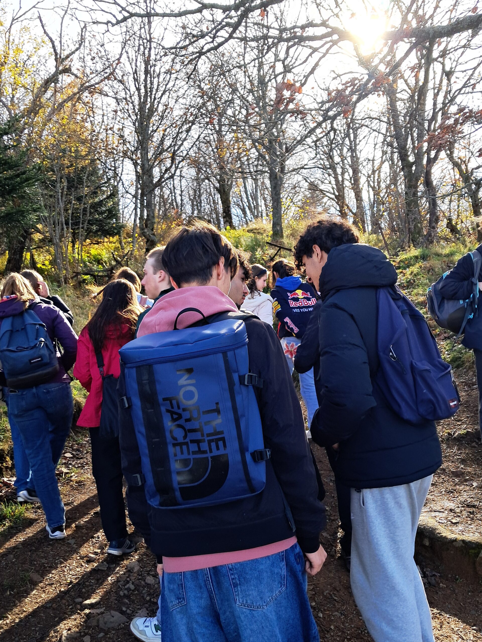 Une sortie remplie d’histoires au Hartmannswillerkopf